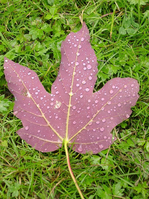 574196387_9234f75f4f_z