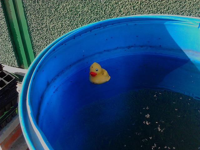 8656011418_5cd2d0a179_z