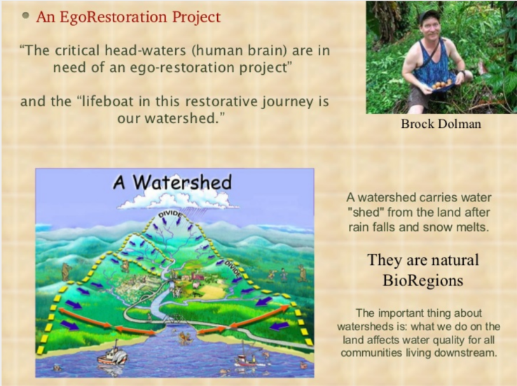 Screen Shot 2018-05-11 at 09.26.38