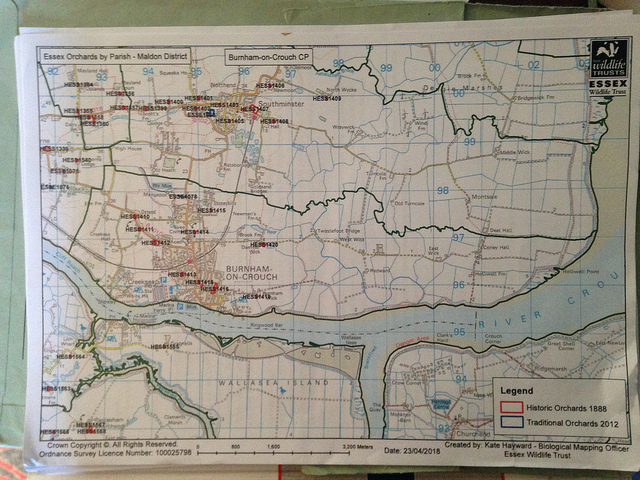 41776674625_9f9ba37047_z