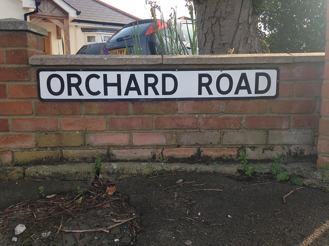 42675594201_6079fff230_z