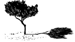 ORCHARDS EAST logo RGB BLACK MEDIUM p1