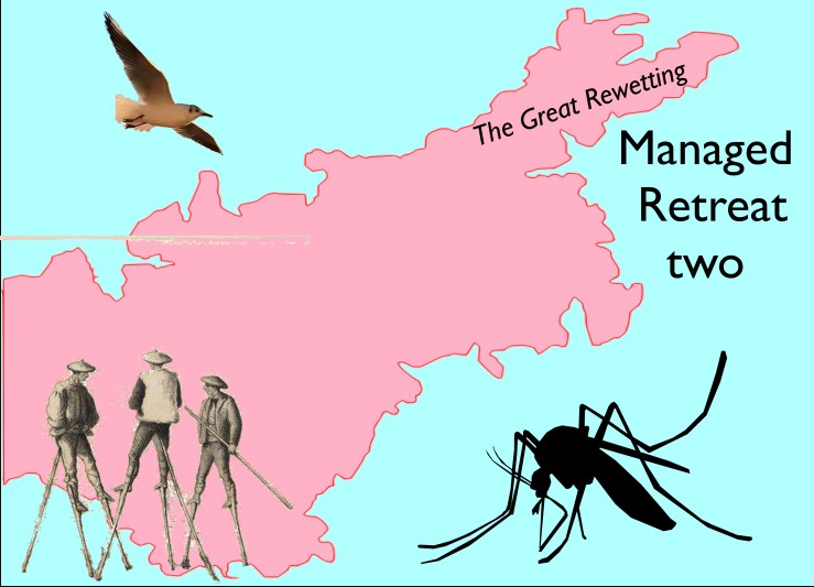 MR2 Cover Image pink w text2