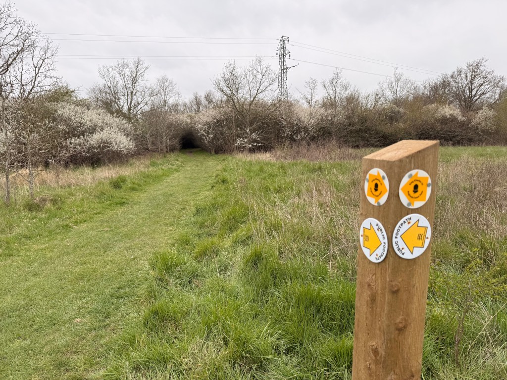 New Paths – South Woodham&nbsp;Ferrers